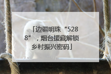 边疆明珠“5288”，烟台援藏解锁乡村振兴密码