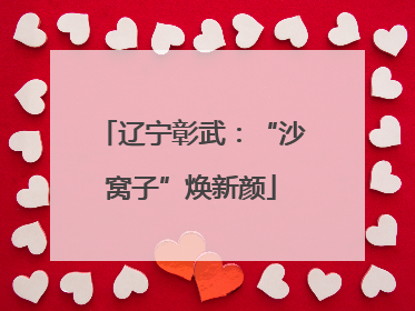 辽宁彰武：“沙窝子”焕新颜