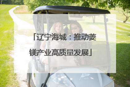 辽宁海城：推动菱镁产业高质量发展