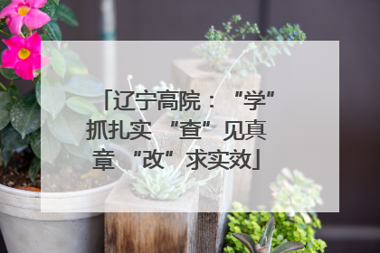 辽宁高院：“学”抓扎实 “查”见真章 “改”求实效