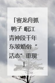 赛龙舟抓鸭子 岷江青神段千年东坡婚俗“活态”重现