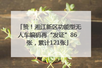 赞！湘江新区功能型无人车编码再“发证”86张，累计121张