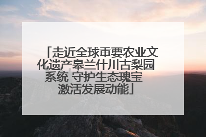 走近全球重要农业文化遗产皋兰什川古梨园系统 守护生态瑰宝 激活发展动能