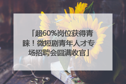 超60%岗位获得青睐！微短剧青年人才专场招聘会圆满收官