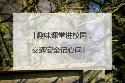 趣味课堂进校园，交通安全记心间
