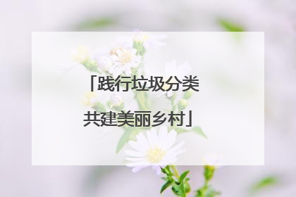 践行垃圾分类 共建美丽乡村
