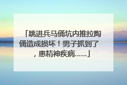 跳进兵马俑坑内推拉陶俑造成损坏！男子抓到了，患精神疾病……