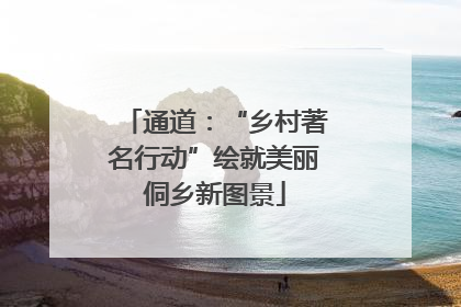 通道：“乡村著名行动”绘就美丽侗乡新图景
