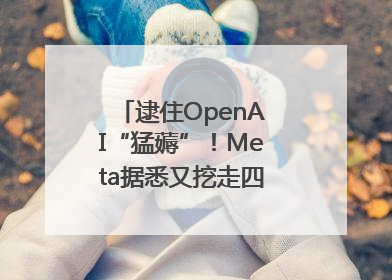 逮住OpenAI“猛薅”！Meta据悉又挖走四位知名研究人员