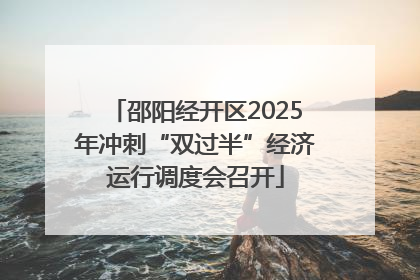 邵阳经开区2025年冲刺“双过半”经济运行调度会召开