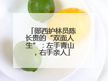 郧西护林员陈长贵的“双面人生”：左手青山，右手亲人