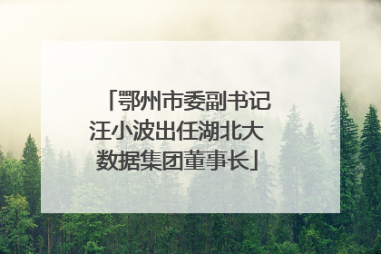 鄂州市委副书记汪小波出任湖北大数据集团董事长
