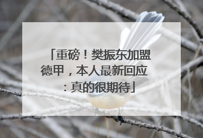 重磅！樊振东加盟德甲，本人最新回应：真的很期待