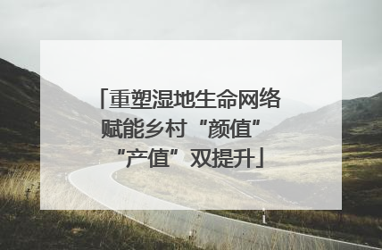 重塑湿地生命网络 赋能乡村“颜值”“产值”双提升