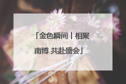 金色瞬间丨相聚南博 共赴盛会