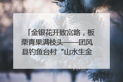 金银花开致富路，板栗青果满枝头——团风县钓鱼台村“山水生金”谱写共富新篇章