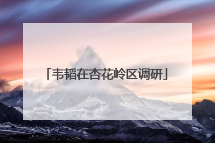 韦韬在杏花岭区调研