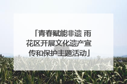 青春赋能非遗 雨花区开展文化遗产宣传和保护主题活动