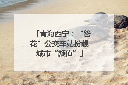 青海西宁：“簪花”公交车站扮靓城市“颜值”