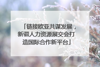 链接欧亚共谋发展，新疆人力资源展交会打造国际合作新平台