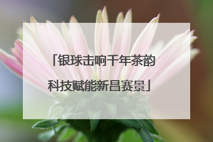 银球击响千年茶韵 科技赋能新昌赛景