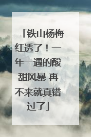 铁山杨梅红透了！一年一遇的酸甜风暴 再不来就真错过了