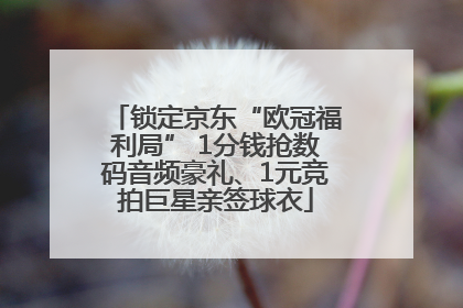 锁定京东“欧冠福利局” 1分钱抢数码音频豪礼、1元竞拍巨星亲签球衣