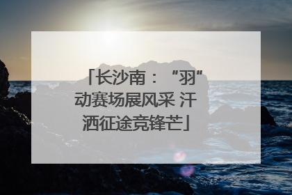 长沙南：“羽”动赛场展风采 汗洒征途竞锋芒