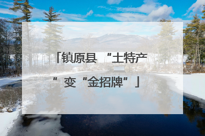 镇原县 “土特产”变“金招牌”