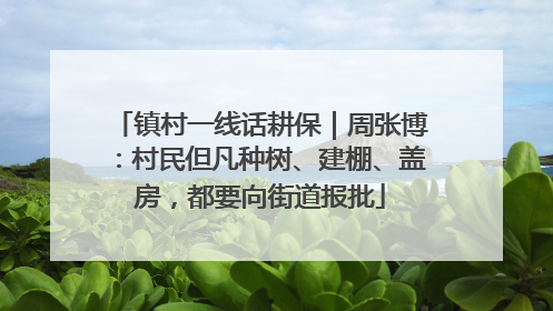 镇村一线话耕保｜周张博：村民但凡种树、建棚、盖房，都要向街道报批