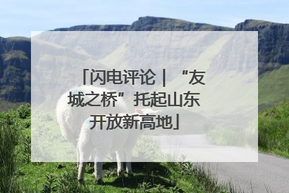 闪电评论｜“友城之桥”托起山东开放新高地