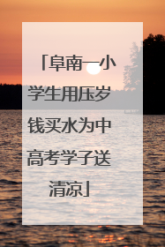 阜南一小学生用压岁钱买水为中高考学子送清凉
