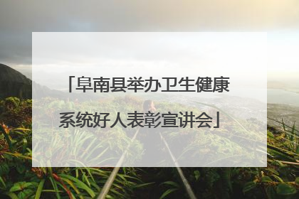 阜南县举办卫生健康系统好人表彰宣讲会