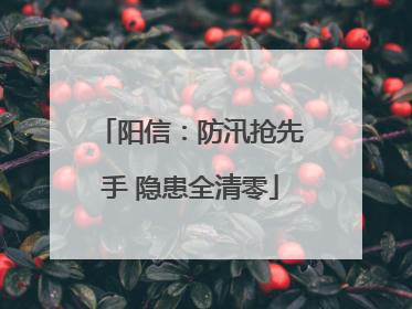 阳信：防汛抢先手 隐患全清零