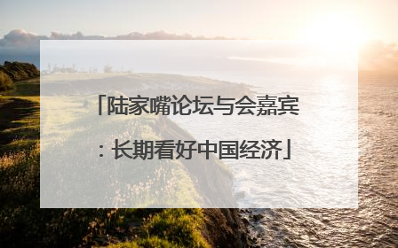 陆家嘴论坛与会嘉宾：长期看好中国经济