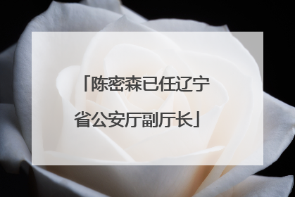 陈密森已任辽宁省公安厅副厅长