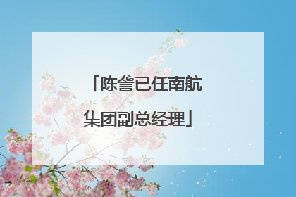 陈詟已任南航集团副总经理