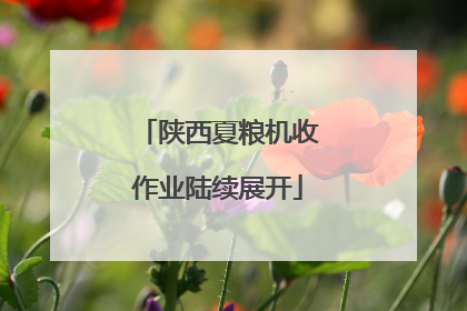 陕西夏粮机收作业陆续展开