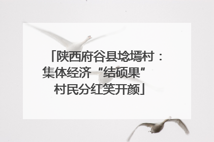 陕西府谷县埝墕村：集体经济“结硕果” 村民分红笑开颜