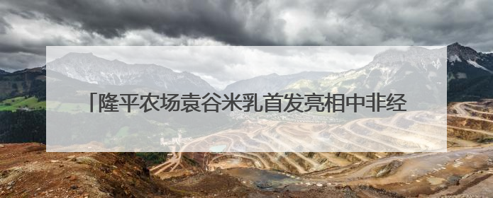 隆平农场袁谷米乳首发亮相中非经贸博览会“味道湖南”美食市集