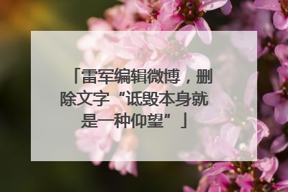 雷军编辑微博，删除文字“诋毁本身就是一种仰望”