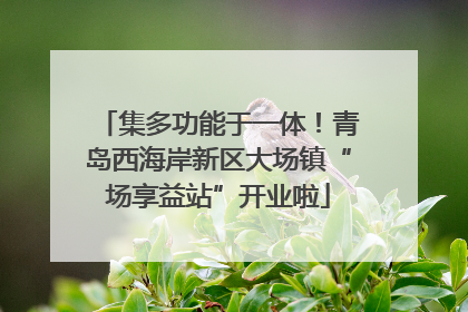 集多功能于一体！青岛西海岸新区大场镇“场享益站”开业啦