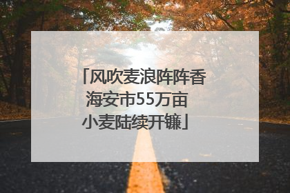 风吹麦浪阵阵香 海安市55万亩小麦陆续开镰