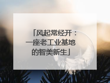 风起常经开：一座老工业基地的智美新生