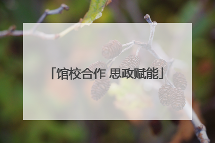 馆校合作 思政赋能