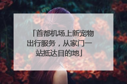 首都机场上新宠物出行服务，从家门一站抵达目的地