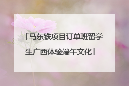 马东铁项目订单班留学生广西体验端午文化