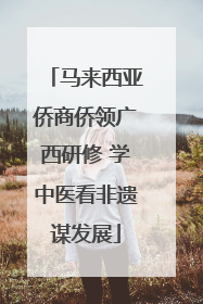 马来西亚侨商侨领广西研修 学中医看非遗谋发展