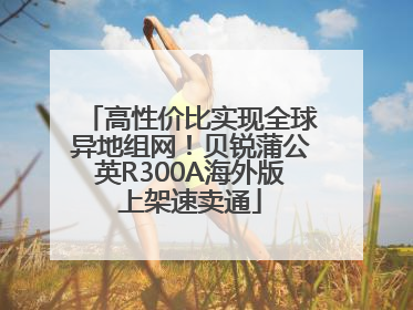 高性价比实现全球异地组网！贝锐蒲公英R300A海外版上架速卖通