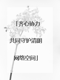 齐心协力 共同守护清朗网络空间